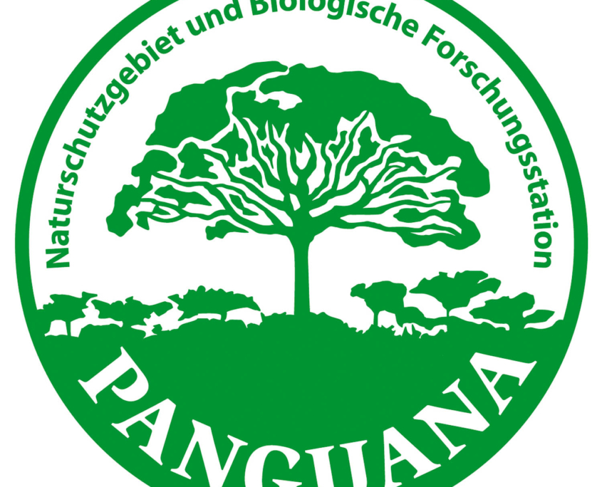 Ausstellung 2013: Logo Panguana