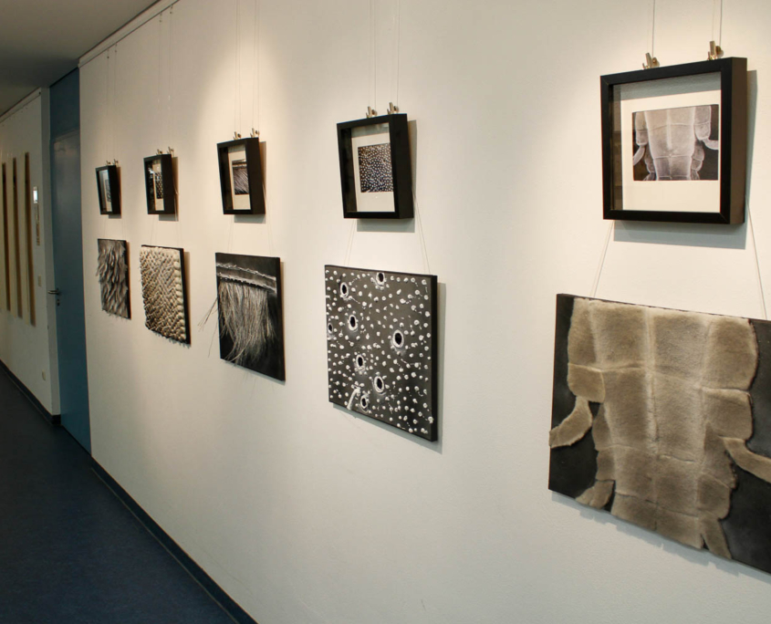 Ausstellung 2014: Bilder
