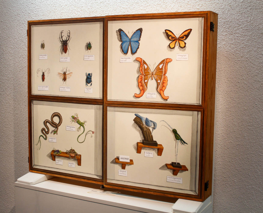 Ausstellung 2014: Insektenkästen
