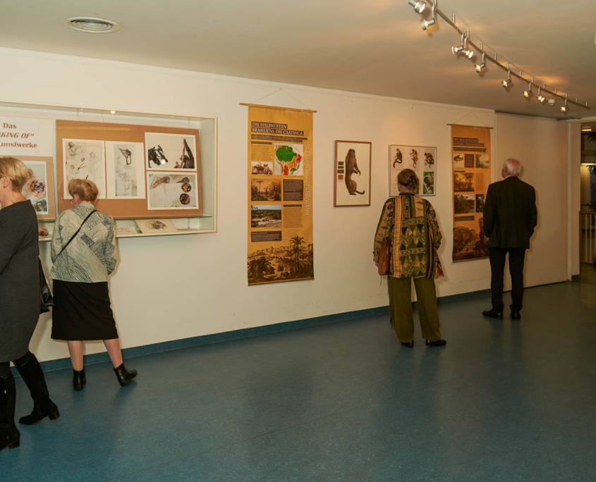 Blick in die Ausstellung 2017