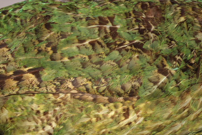 Kakapo Gefieder